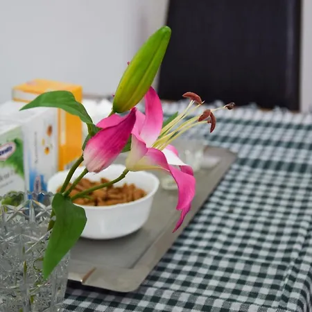 Studio Apartman Una 公寓 *